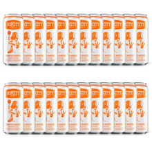 Laden Sie das Bild in den Galerie-Viewer, Hopcity Hightop Hopper Creamsicle Ale